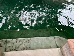 -嘉兴清池酒店温泉