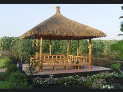 -白渔泡湿地公园