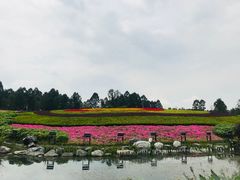 -天府芙蓉园