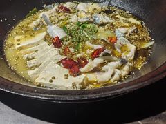 -肥鱼屯活鱼锅(惠工街店)