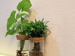 -红小满休闲餐厅(十全街店)