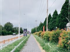 -北京国家会计学院