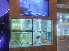 -海派悦庭·海胆烧麦·新融合菜(凯德广场店)
