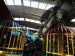 -南宫五洲植物乐园