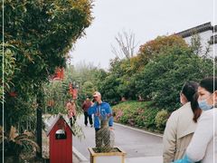 -武汉紫薇都市田园