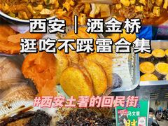 -马文章胖子甑糕(洒金桥店)