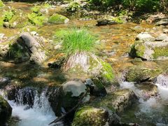 -关门山森林公园