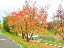 -大望京儿童游乐场