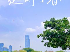 -莲花山公园