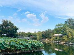 -朴墅(西湖青芝坞店·杭帮菜·家宴.14年的店)