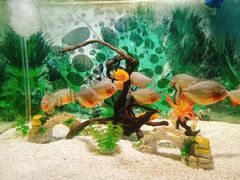 -绍兴梦享海洋公园