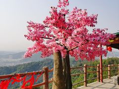 -东莞观音山旅游风景区