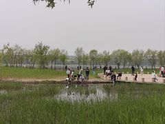 -绿堤公园