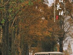 -良渚古城遗址公园