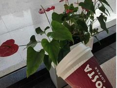 -COSTA COFFEE(上海虹口公园店)