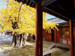 -承恩寺