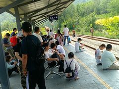 -黄金寨原生态旅游区
