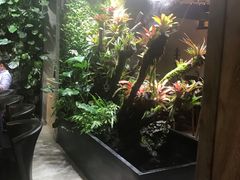 -森味薪火烧•烧鸟居酒屋•日本料理(望京店)