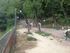 -阳台山自然风景区