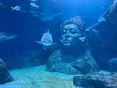 -暹罗海洋世界