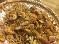 -悠悠美食