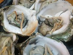 -烧蠔帮·湛江生蚝(工农店)