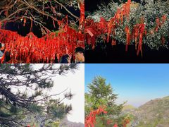 -泰山风景名胜区