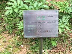 -广州神农草堂中医药博物馆