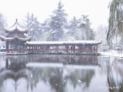 -橘子洲景区