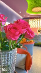 -花隐·美芙炫海菲秀皮肤管理中心