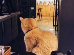 -咖法森林·咖啡  酒吧(天河店)