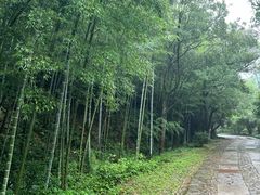 -黄公望隐居地