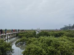 -北海金海湾红树林生态旅游区