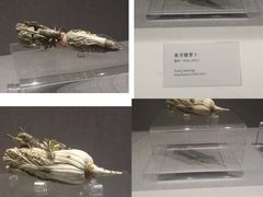 -四川博物院