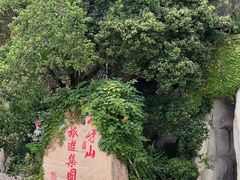 -嵖岈山风景区