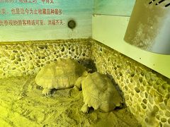 -上海大自然野生昆虫馆