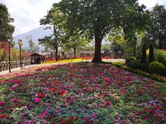 -广州市流溪河国家森林公园