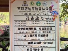 -西双版纳原始森林公园