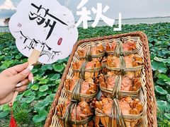 -七的湖·晚芳亭·阳澄湖农家菜·大闸蟹(莲花岛店)