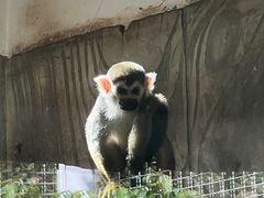 -黔灵山公园
