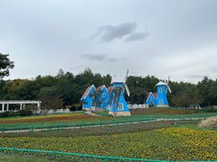 -宜兴龙背山森林公园