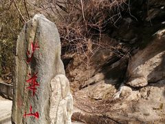 -少华山国家森林公园