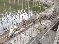 -东郊湿地公园