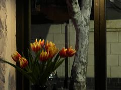 -Apollo·西班牙小酒馆(安福路店)