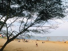 -碧海金沙