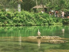 -靖西鹅泉风景区