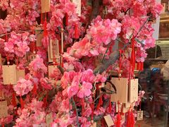 -早一美餐厅·EBISU(会展誉景店)