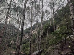 -驼梁风景区