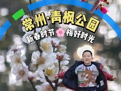-青枫公园