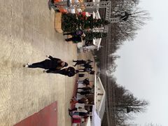 -杜乐丽花园